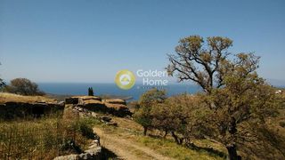 Αγροτεμάχια 8.000 τ.μ. για πώληση
