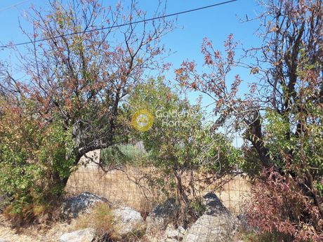Οικόπεδο 510τ.μ. για πώληση-Γοργολαϊνη » Πετροκέφαλο