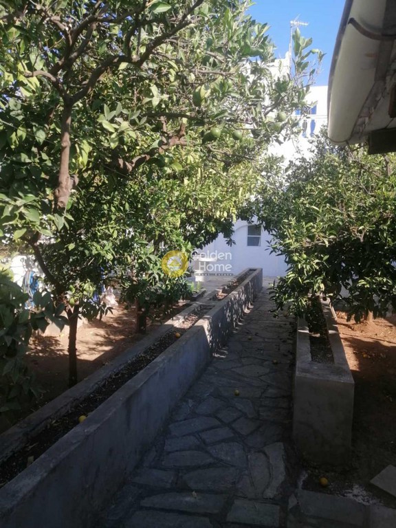 Μονοκατοικία 278 τ.μ. προς πώληση, Μονή Αγίων Πάντων Σπετσών