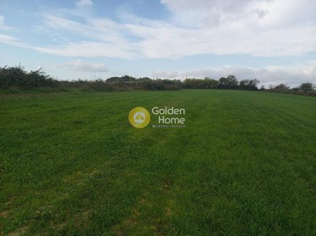 Land plot 11.160sqm for sale-Zaloggo » Archaggelos