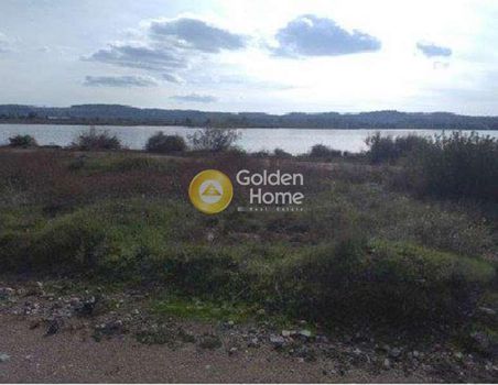 Parcel 47.000sqm for sale-Kranidi » Kampos
