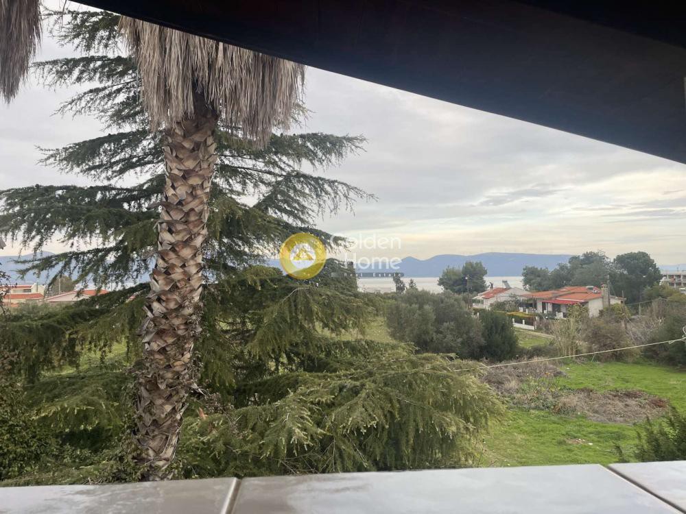 Μονοκατοικία 320 τ.μ. προς πώληση, Σκάλα Ωρωπού