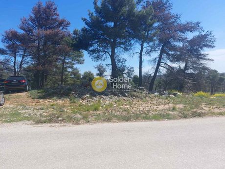 Land plot 2.000sqm for sale-Afidnes » Agia Triada
