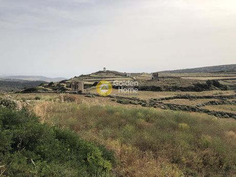 Parcel 8.120sqm for rent-Paros » Lefkes