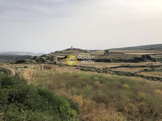Αγροτεμάχια 8.120 τ.μ. για ενοικίαση