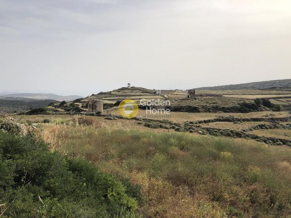 Αγροτεμάχια 8.120 τ.μ. για ενοικίαση, Κυκλάδες, Πάρος