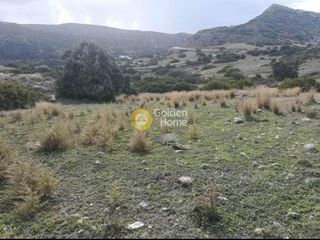 Οικόπεδο 2.946 τ.μ. για πώληση