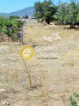 Parcel 600sqm for rent-Kifisia » Adames Oikismos Grammos - Foinikas