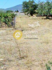 Αγροτεμάχια 600 τ.μ. για ενοικίαση