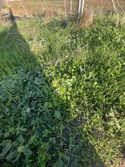 Οικόπεδο 425 τ.μ. για πώληση