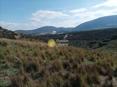 Αγροτεμάχια 1.875τ.μ. για πώληση-Μαρκόπουλο » Κέντρο