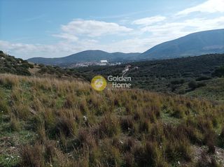 Αγροτεμάχια 1.875 τ.μ. για πώληση