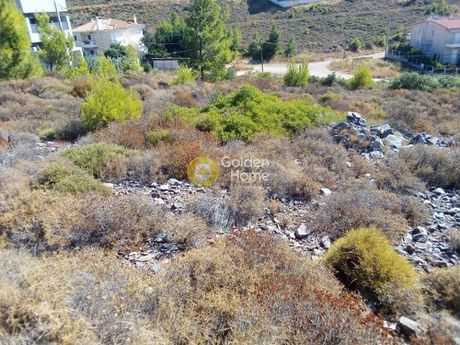 Οικόπεδο 504τ.μ. για πώληση-Πικέρμι » Διώνη