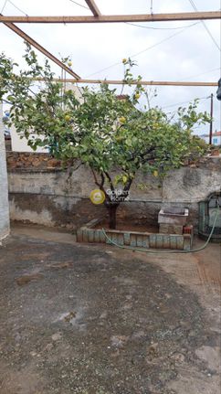 Μεζονέτα 102 τ.μ. για ενοικίαση, Φωκίδα, Γαλαξίδι