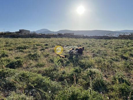 Οικόπεδο 2.300τ.μ. για πώληση-Πάρος » Μάρμαρα