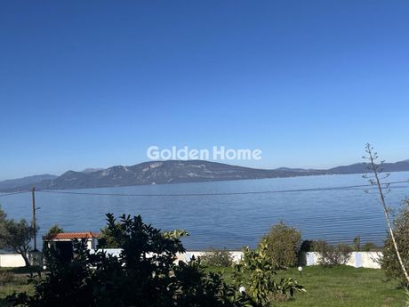 Μονοκατοικία 350τ.μ. για ενοικίαση-Δαφνούσες » Αρκίτσα