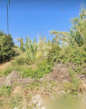 Land plot 3.700 sqm for rent, Athens - North, Kifisia