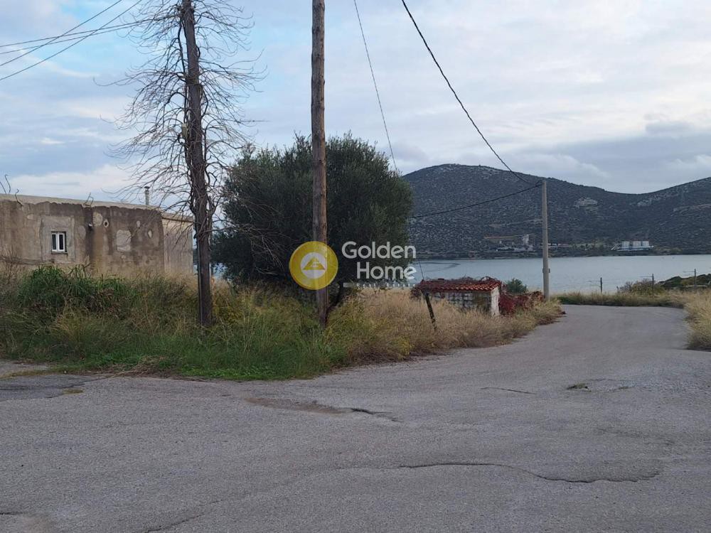 Αγροτεμάχια 250 τ.μ. προς πώληση, Ξηρόβρυση Ανθηδώνος