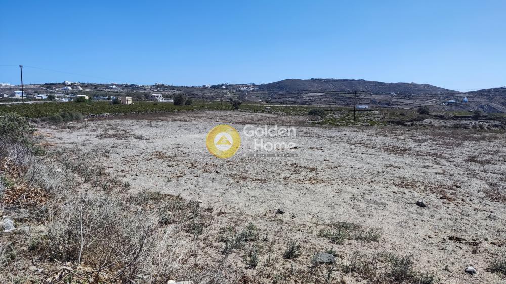Οικόπεδο 6.636 τ.μ. προς πώληση, Θήρα
