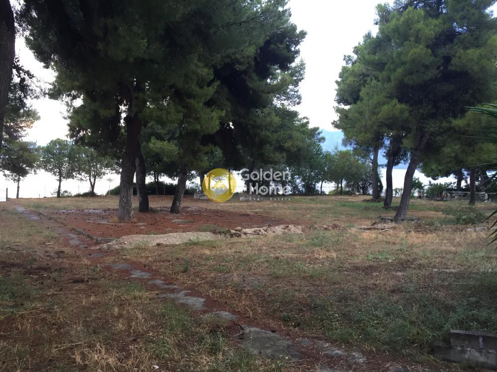 Μονοκατοικία 180 τ.μ. προς πώληση, Άγιος Γεώργιος Λιχάδας