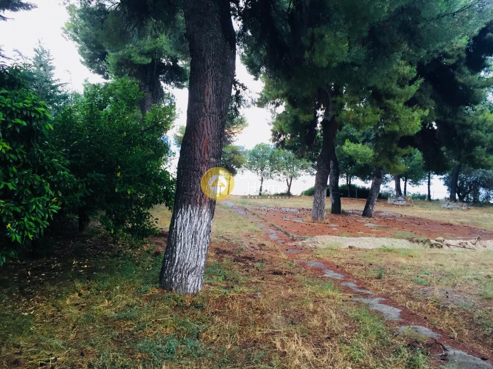 Μονοκατοικία 180 τ.μ. προς πώληση, Άγιος Γεώργιος Λιχάδας