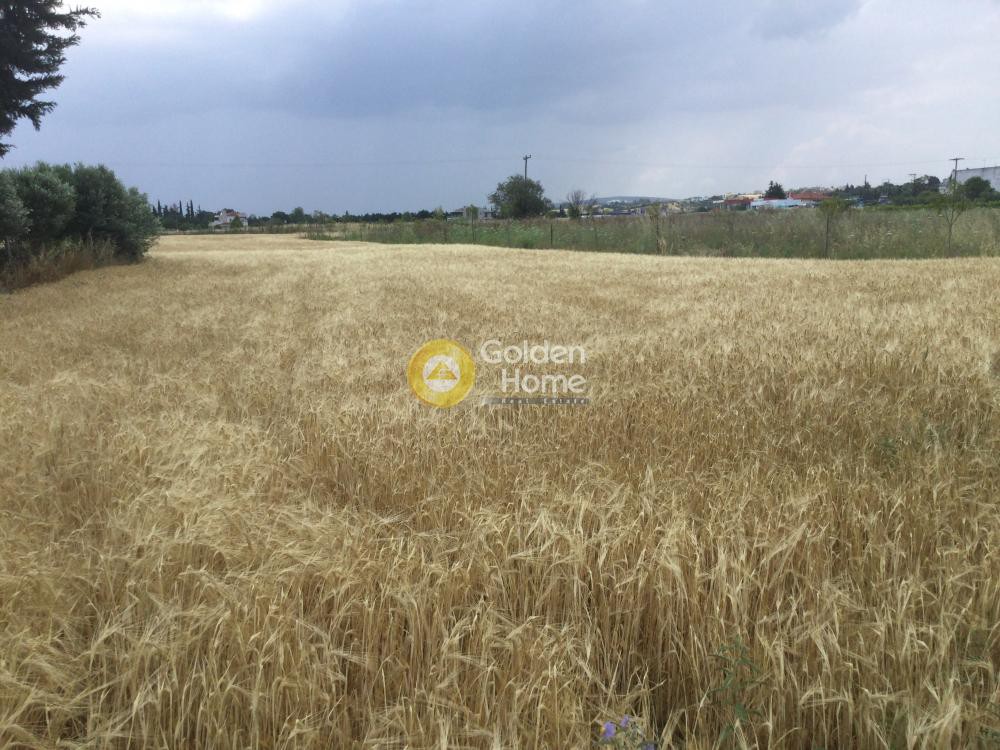 Αγροτεμάχια 7.000 τ.μ. προς ενοικίαση, Θεσσαλονίκη - Περιφ/Κοί Δήμοι, Θέρμη