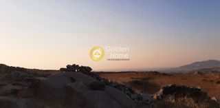 Αγροτεμάχια 10.000 τ.μ. για πώληση