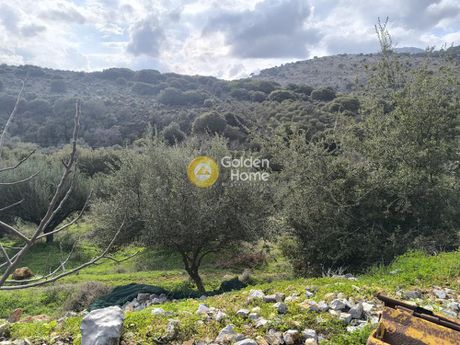 Οικόπεδο 10.000τ.μ. για ενοικίαση-Ηράκλειο κρήτης » Πόρος