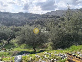 Οικόπεδο 10.000 τ.μ. για ενοικίαση