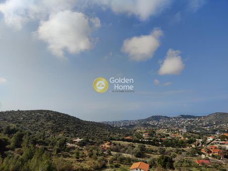 Αγροτεμάχια 5.600τ.μ. για πώληση-Καλύβια θορικού » Λαγονήσι