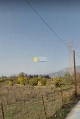 Οικόπεδο 13.419 τ.μ. για πώληση