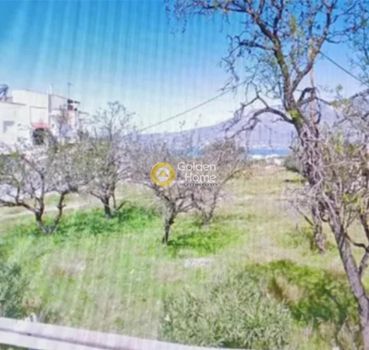 Οικόπεδο 4.299τ.μ. για ενοικίαση-Κόρινθος » Συνοικισμός