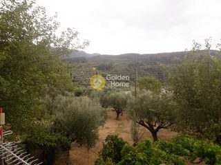 Μονοκατοικία 200 τ.μ. για πώληση, Μεσσηνία, Αρφαρά-thumb-25