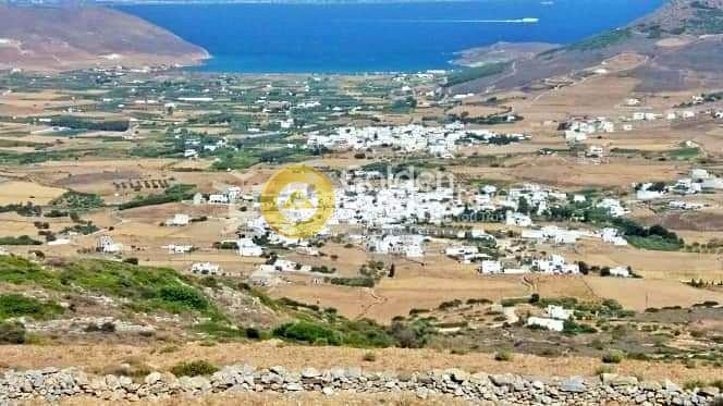 Αγροτεμάχια 10.500 τ.μ. προς πώληση, Τσουκαλάς