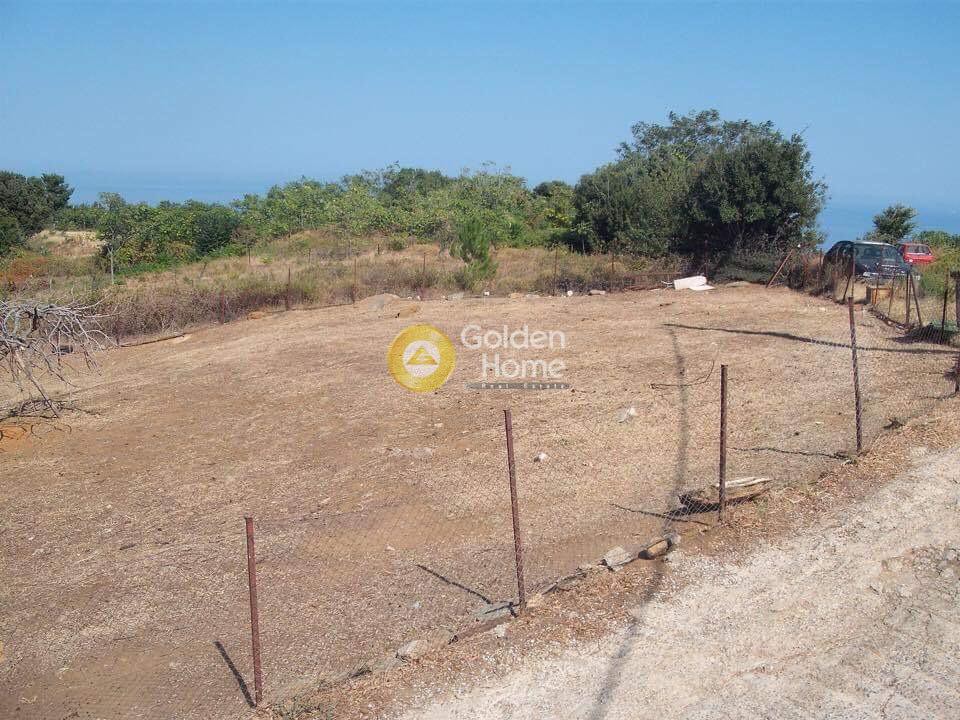 Οικόπεδο 1.350 τ.μ. πρός πώληση, Μαγνησία, Αφέτες