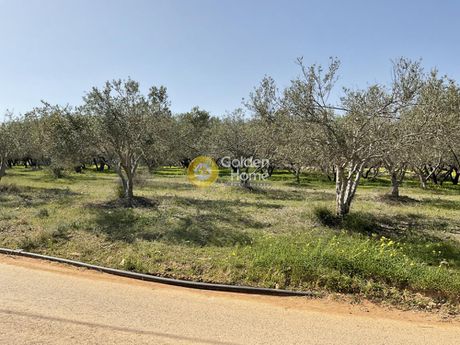 Οικόπεδο 1.317τ.μ. για πώληση-Χερσόνησος » Άγιος ιωάννης