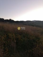 Οικόπεδο 4.311 τ.μ. για πώληση