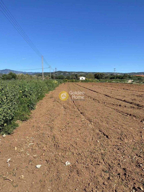 Μονοκατοικία 190 τ.μ. προς πώληση, Αγία Κυριακή Φιλιατρών