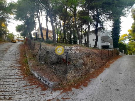 Οικόπεδο 390τ.μ. για πώληση-Άγιος στέφανος » Καπιτένια