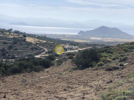 Αγροτεμάχια 8.170τ.μ. για πώληση-Πάρος » Κώστος