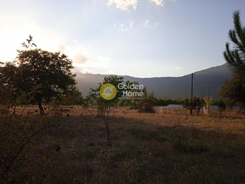 Οικόπεδο 6.364 τ.μ. προς πώληση, Γκούρα Φενεού