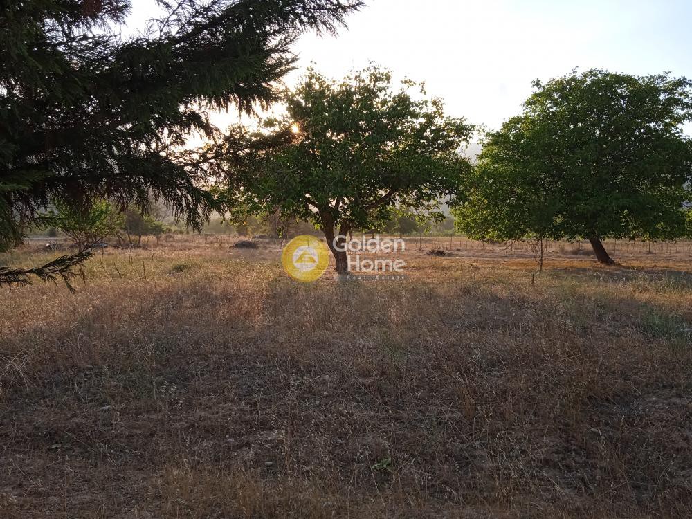 Οικόπεδο 6.364 τ.μ. προς πώληση, Γκούρα Φενεού