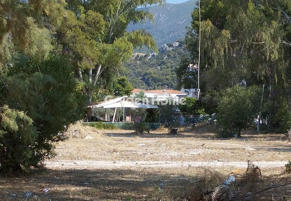 Οικόπεδο 13.000 τ.μ. προς πώληση, Λουτρά Ωραίας Ελένης