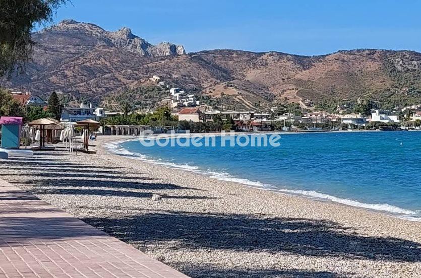 Οικόπεδο 13.000 τ.μ. προς πώληση, Λουτρά Ωραίας Ελένης