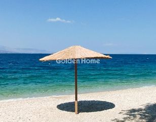 Οικόπεδο 13.000 τ.μ. για πώληση
