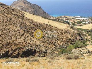 Αγροτεμάχια 6.000 τ.μ. για πώληση