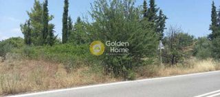 Αγροτεμάχια 4.077 τ.μ. για πώληση