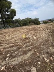 Οικόπεδο 1.000 τ.μ. για πώληση