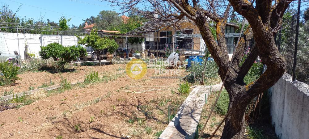 Μονοκατοικία 190 τ.μ. προς πώληση, Αδάμες (Οικισμός Γράμμος - Φοίνικας)