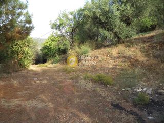 Αγροτεμάχια 4.066 τ.μ. για πώληση
